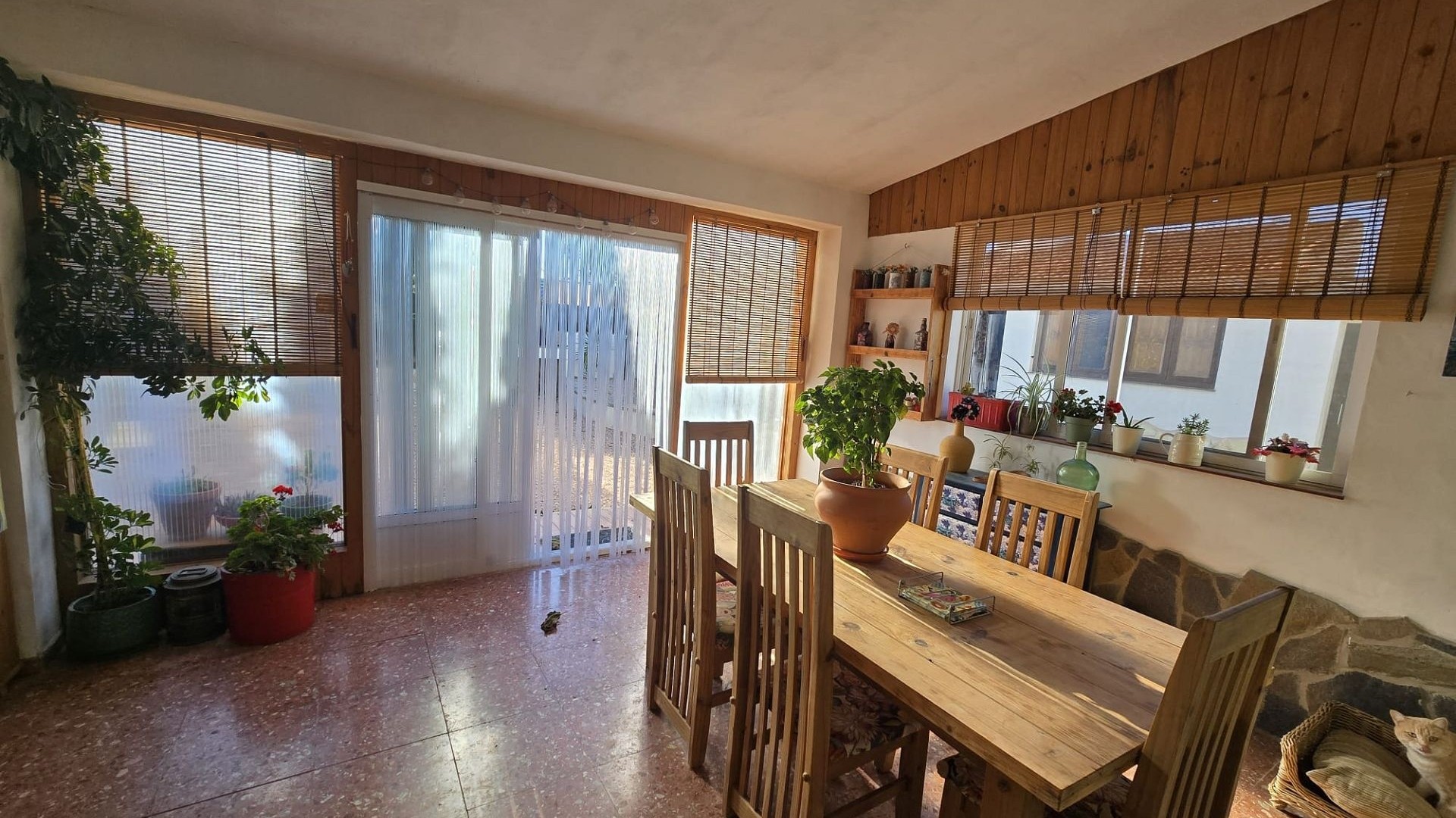 Sale - Detached Villa -
Castalla