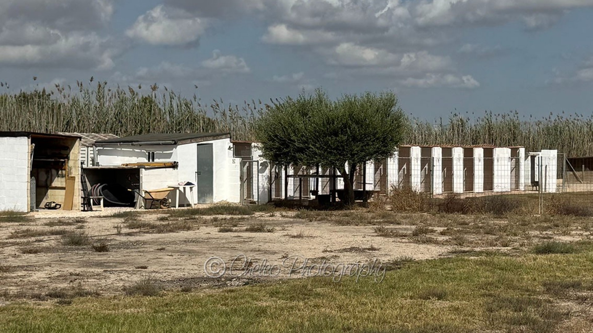 Sale - Detached Villa -
Catral - CatralAlicanteValenciaSpain