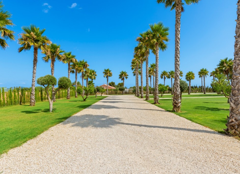 Sale - Detached Villa -
Elche - Elche/Elx