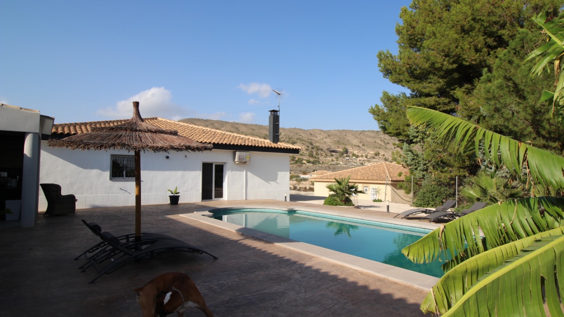 Sale - Detached Villa -
Fortuna