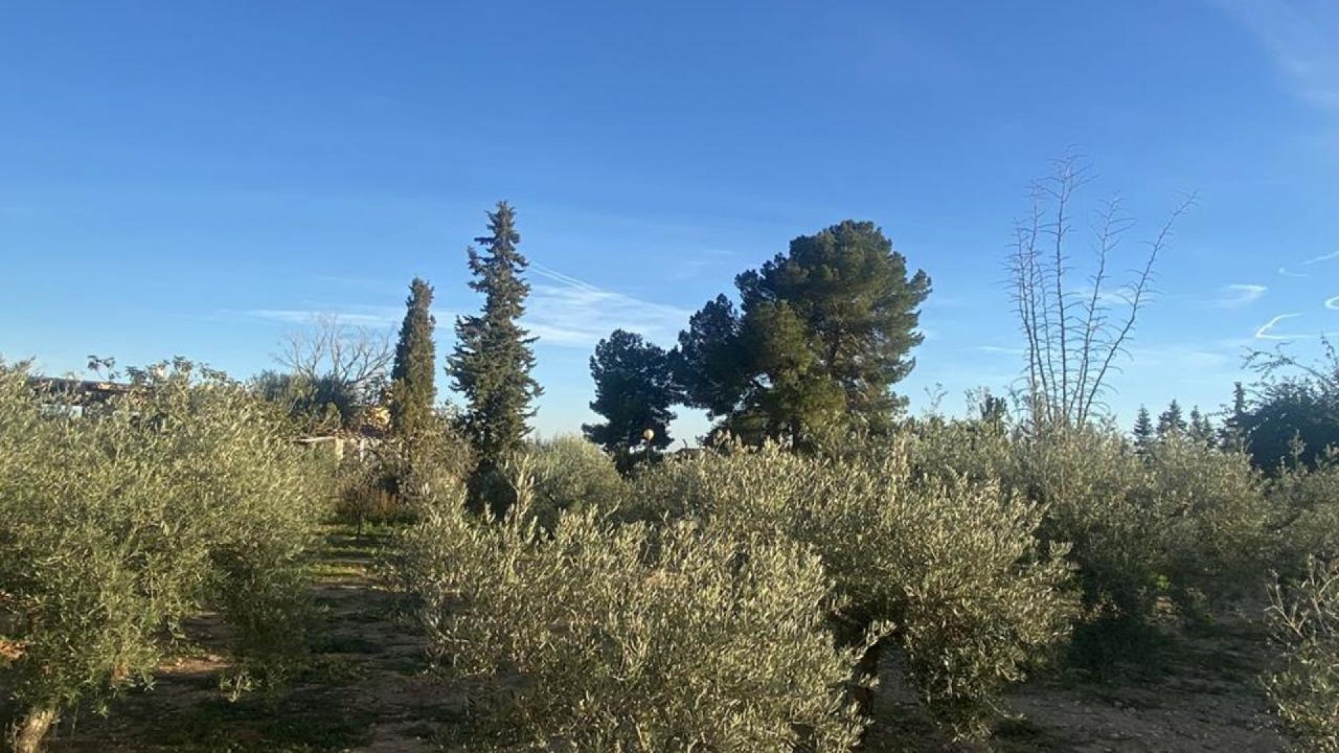 Sale - Detached Villa -
Gea y Truyols