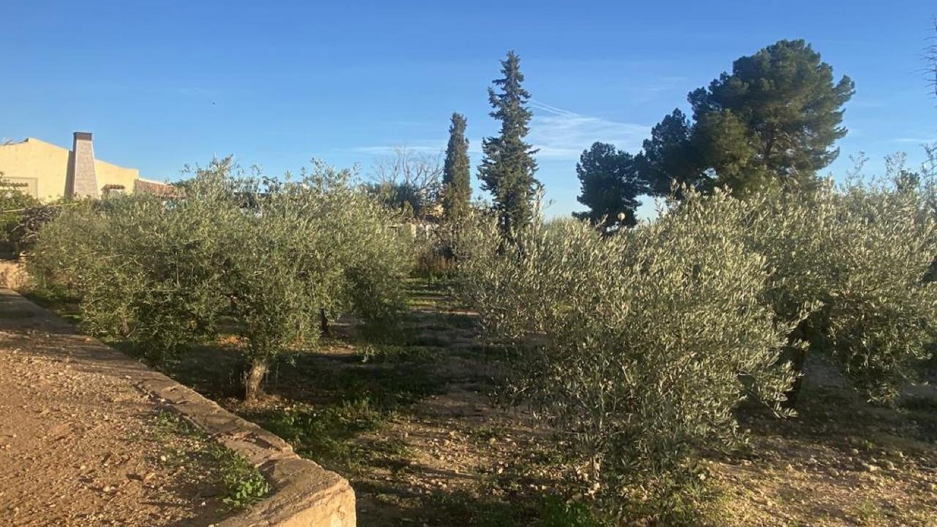 Sale - Detached Villa -
Gea y Truyols