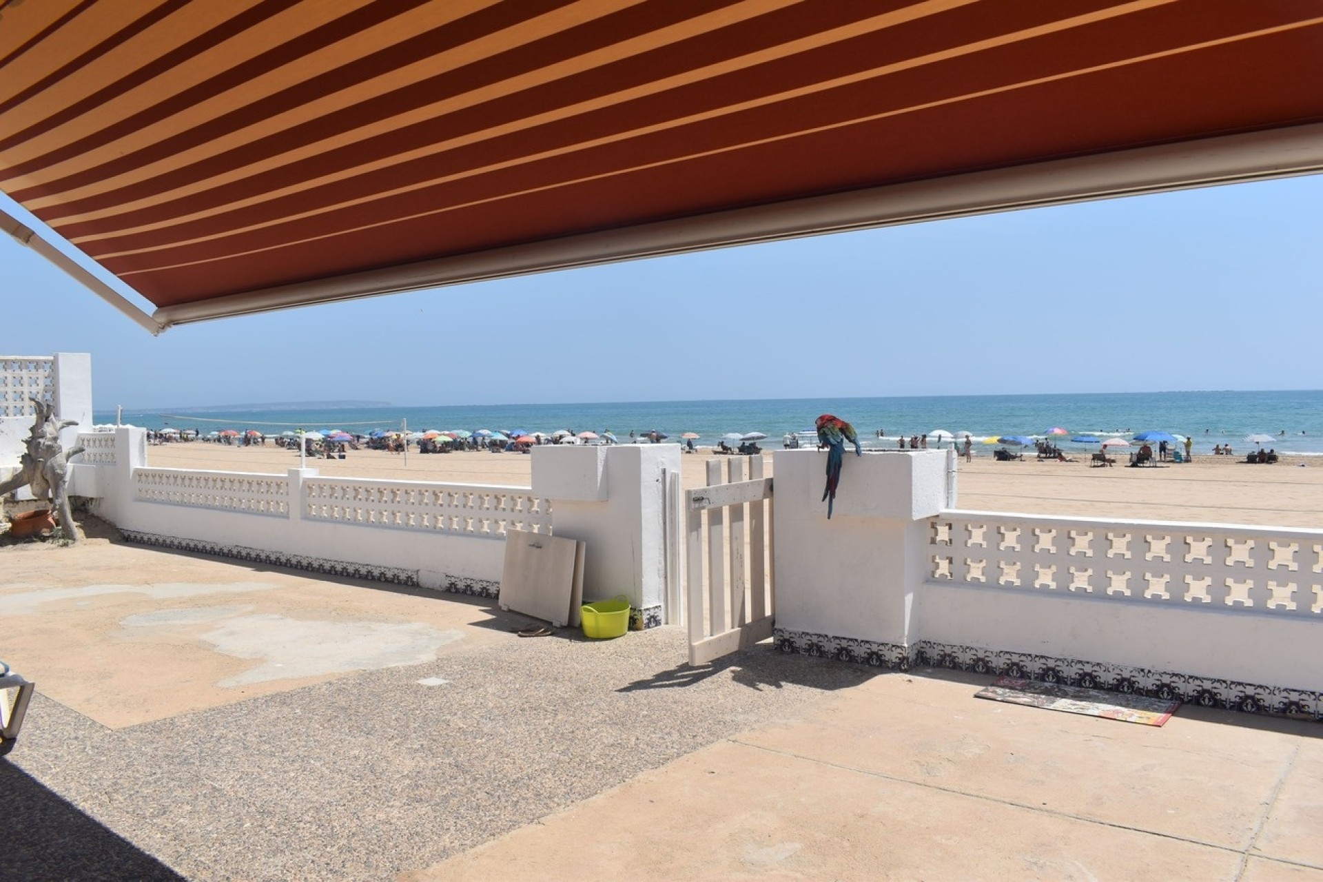 Sale - Detached Villa -
Guardamar del Segura - Costa Blanca