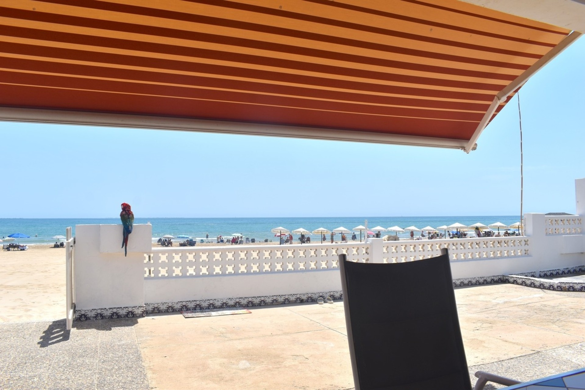 Sale - Detached Villa -
Guardamar del Segura - Costa Blanca