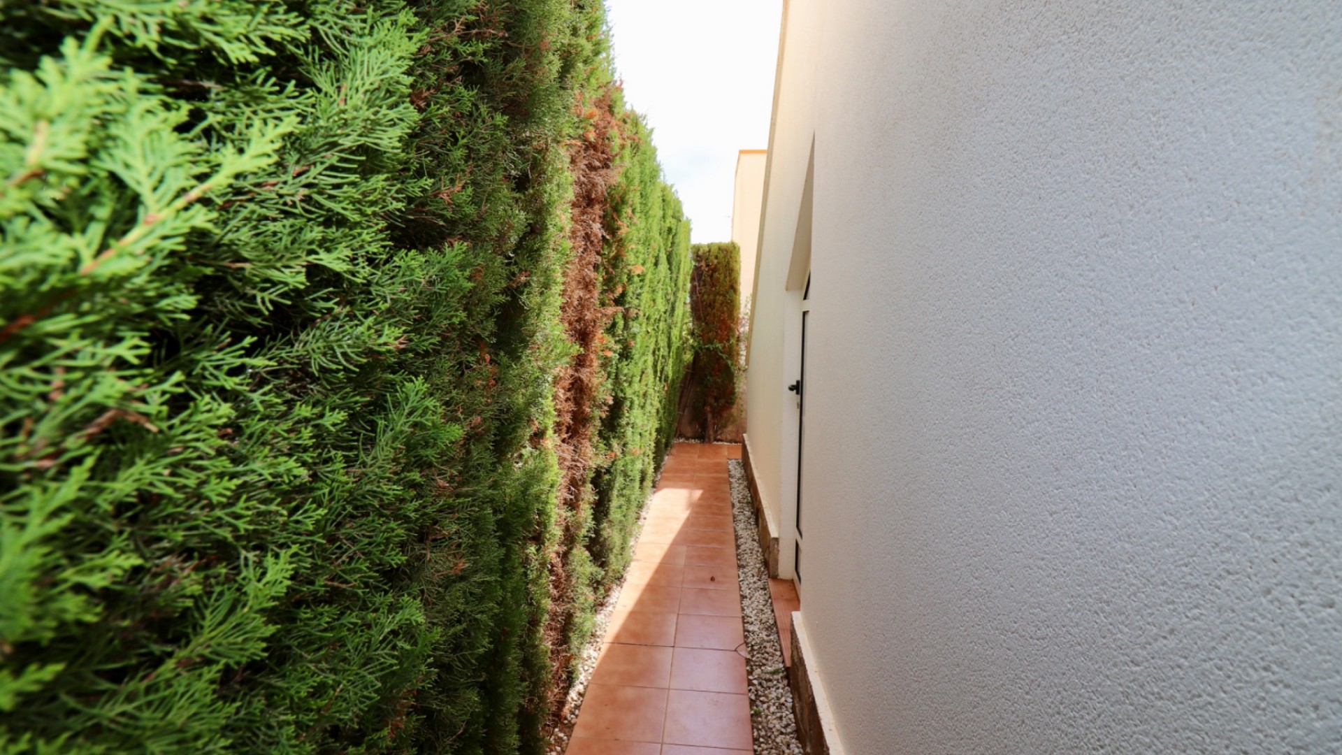 Sale - Detached Villa -
Guardamar del Segura - El Raso