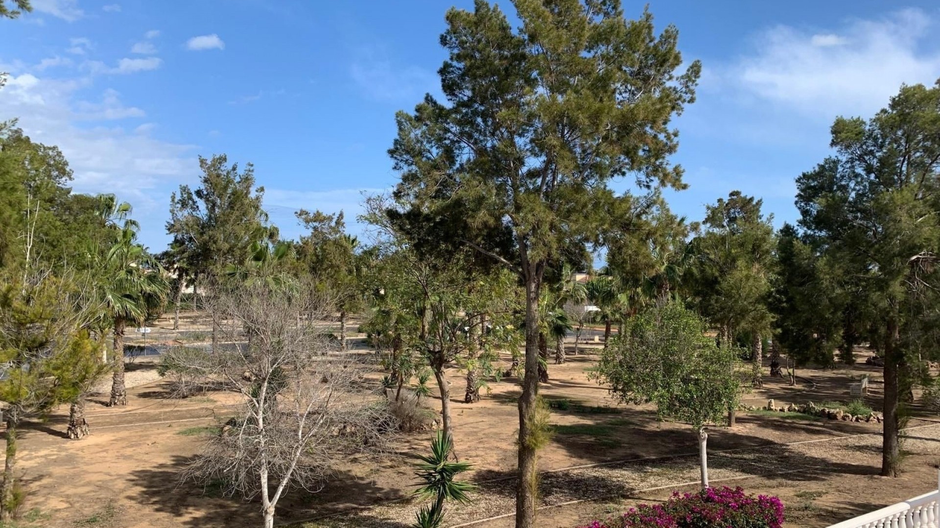 Sale - Detached Villa -
Guardamar del Segura - Guardamar - El Raso