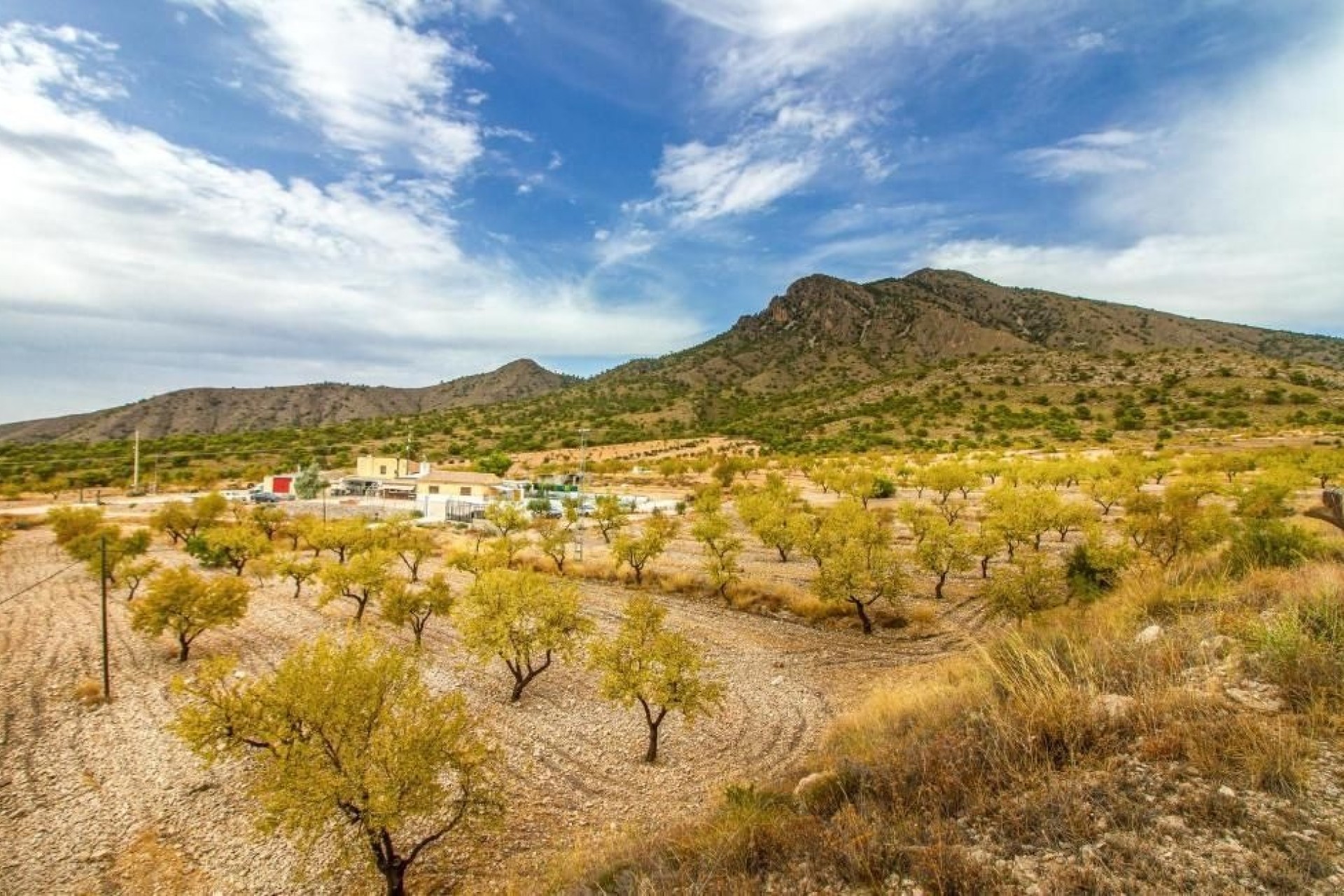 Sale - Detached Villa -
Jumilla - Inland
