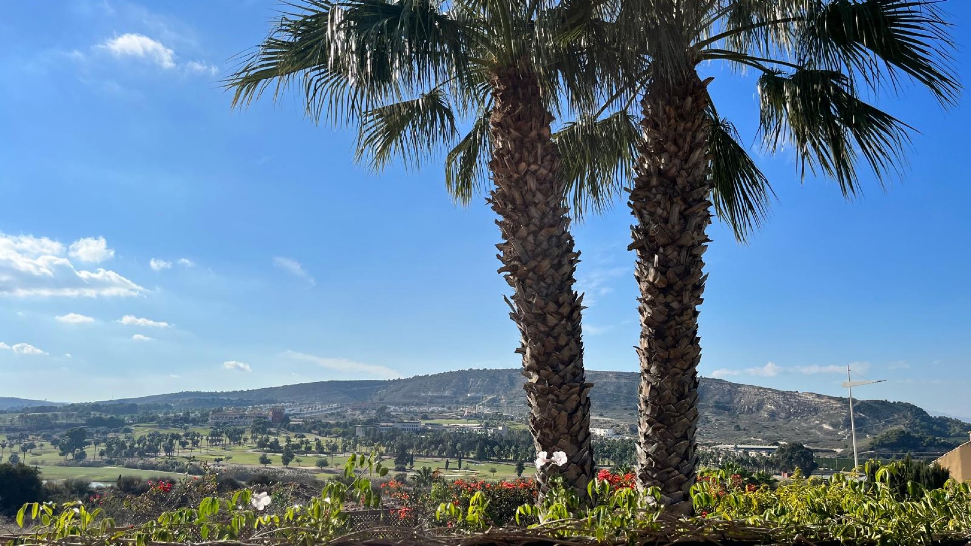 Sale - Detached Villa -
La Finca Golf - La Finca Golf and Spa Resort