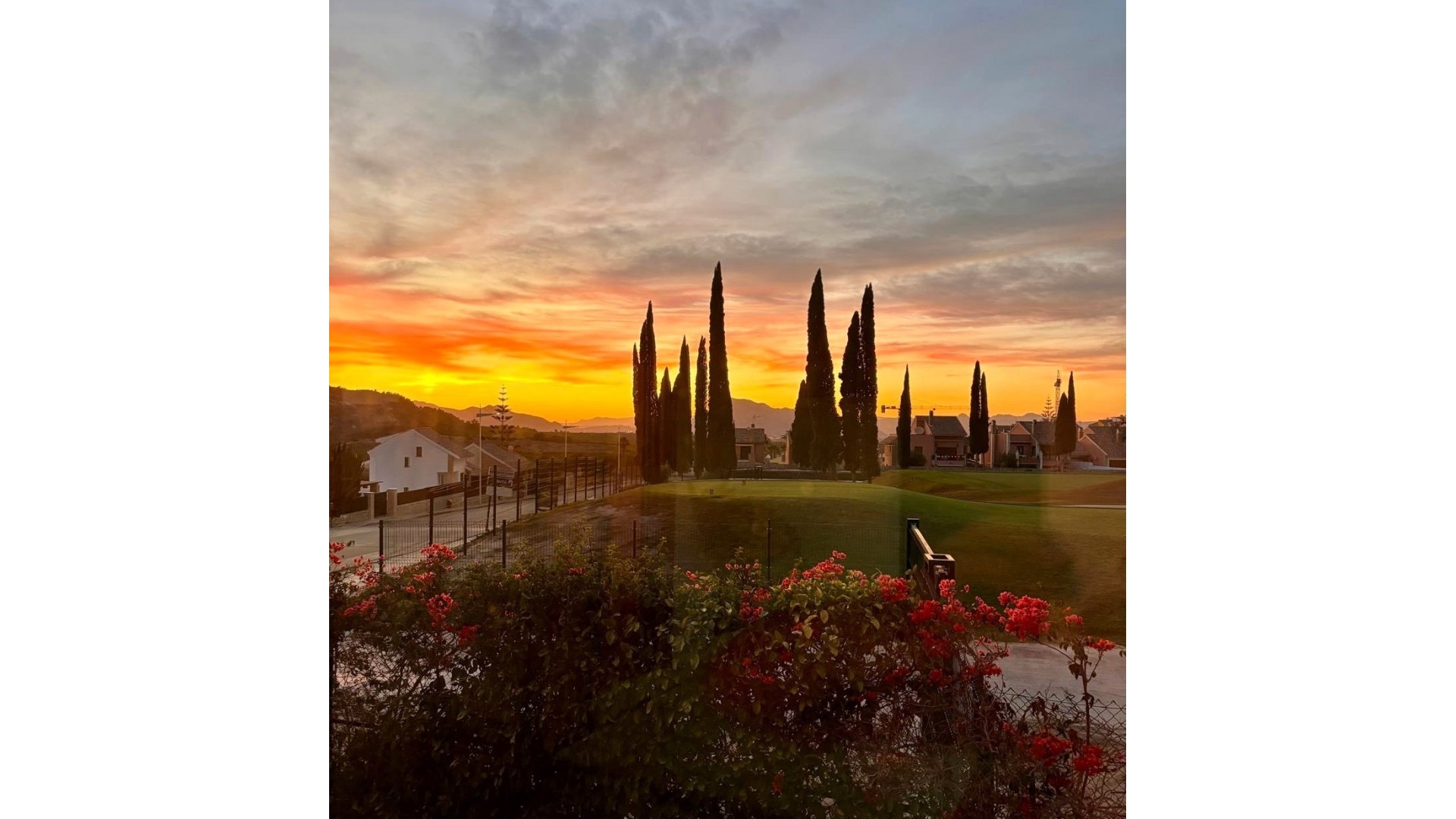 Sale - Detached Villa -
La Finca Golf - La Finca Golf and Spa Resort