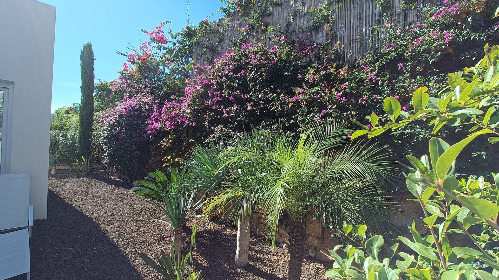 Sale - Detached Villa -
La Finca Golf - La Finca Golf and Spa Resort