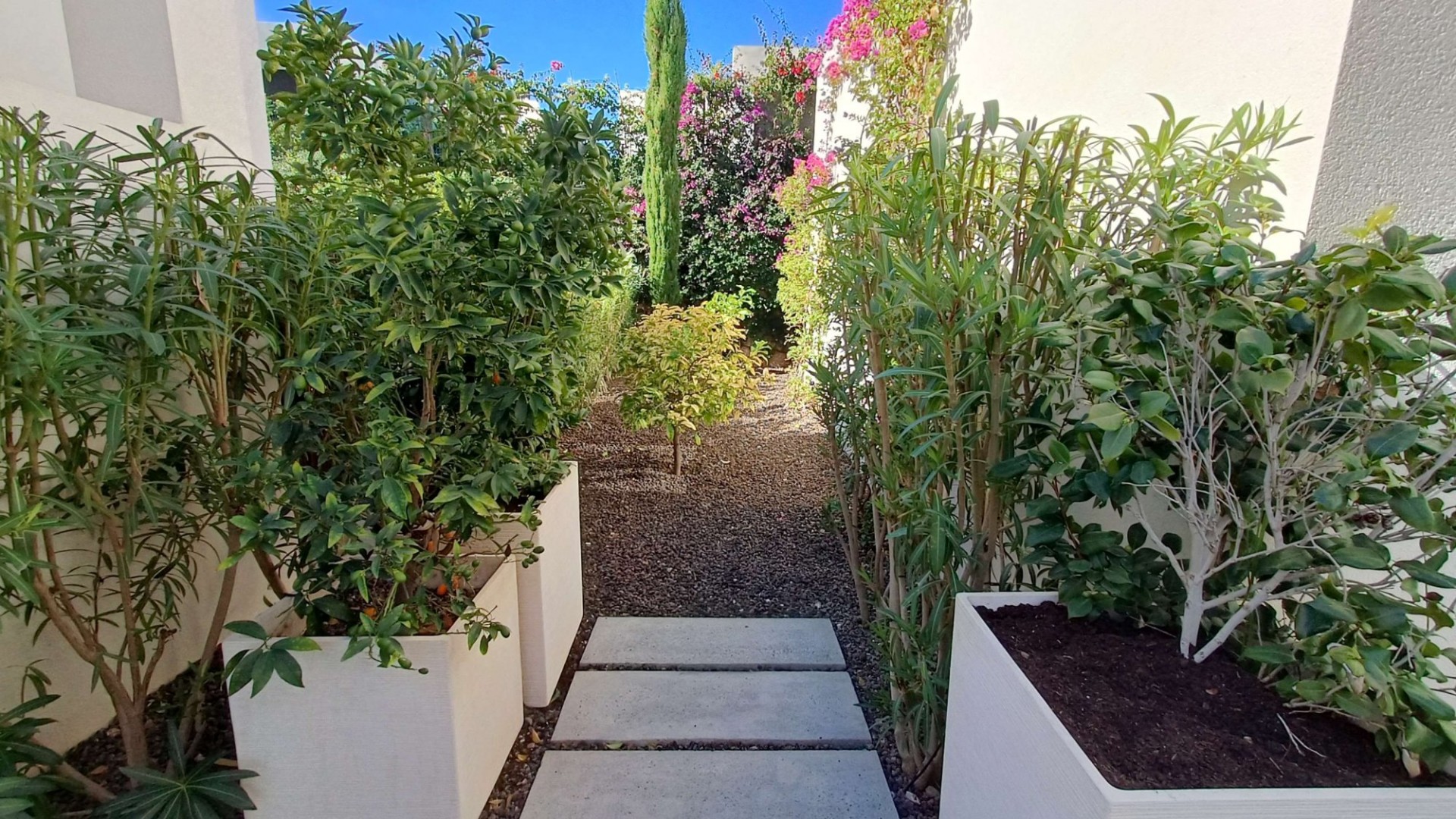 Sale - Detached Villa -
La Finca Golf - La Finca Golf and Spa Resort