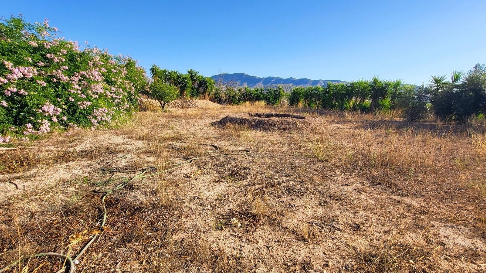 Sale - Detached Villa -
La Romana