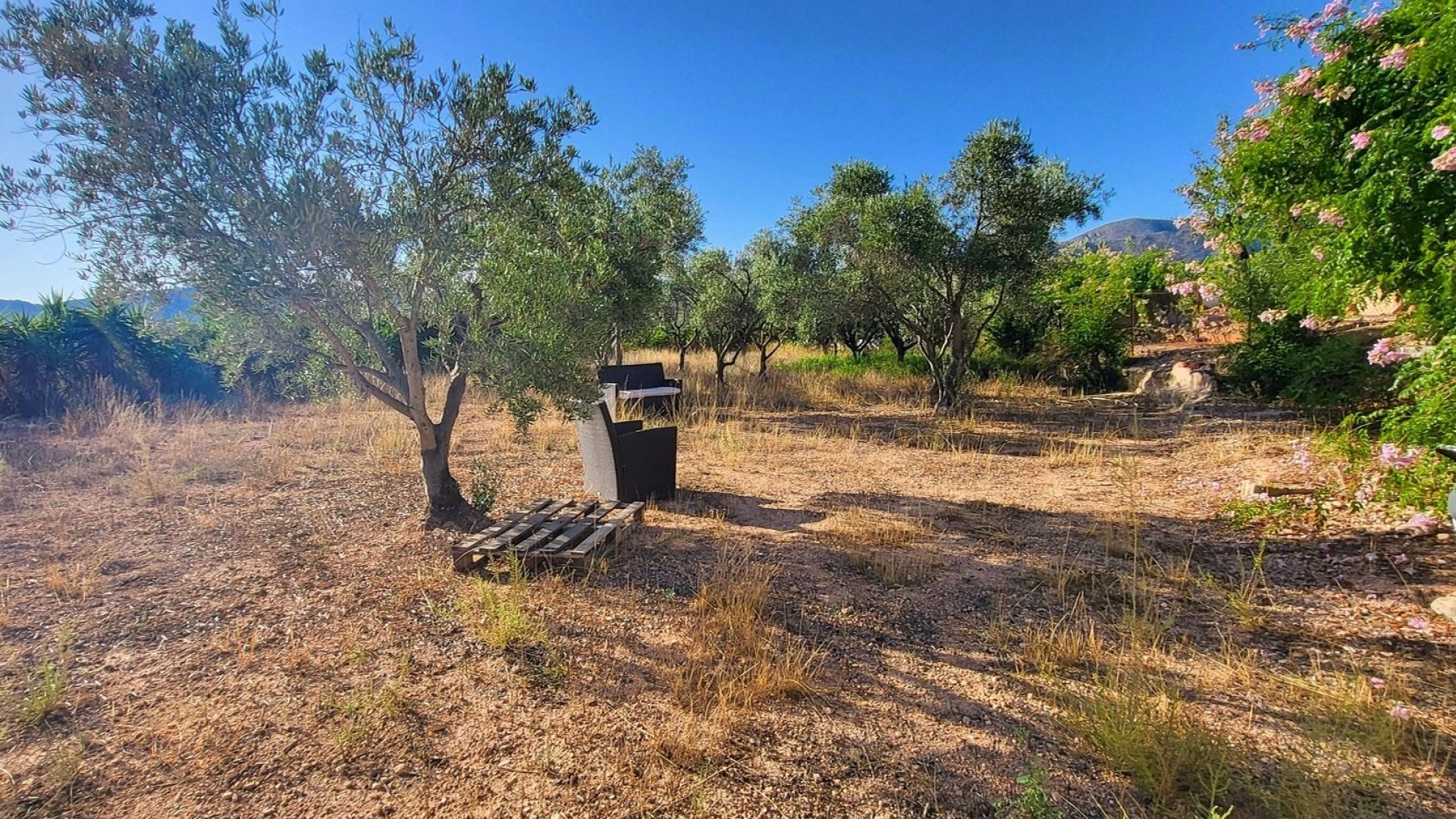 Sale - Detached Villa -
La Romana