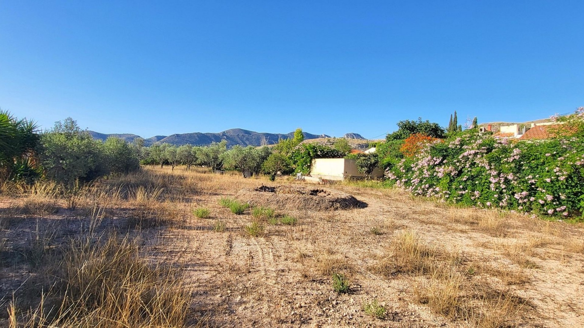 Sale - Detached Villa -
La Romana