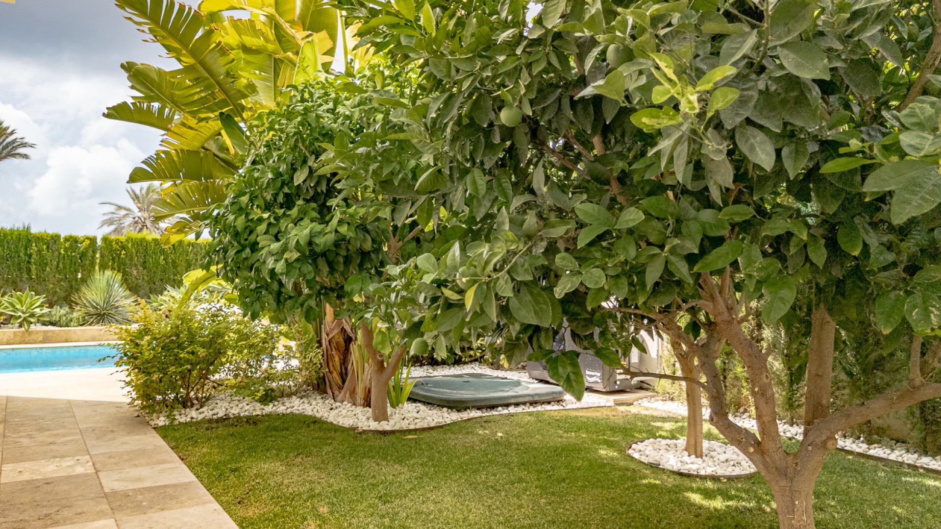 Sale - Detached Villa -
La Zenia - Beachside