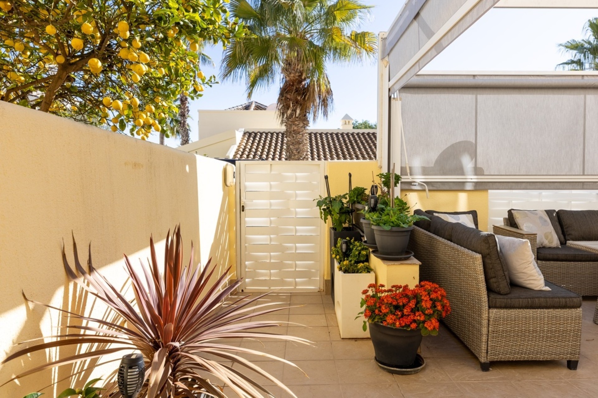 Sale - Detached Villa -
Las Ramblas Golf - Las Ramblas