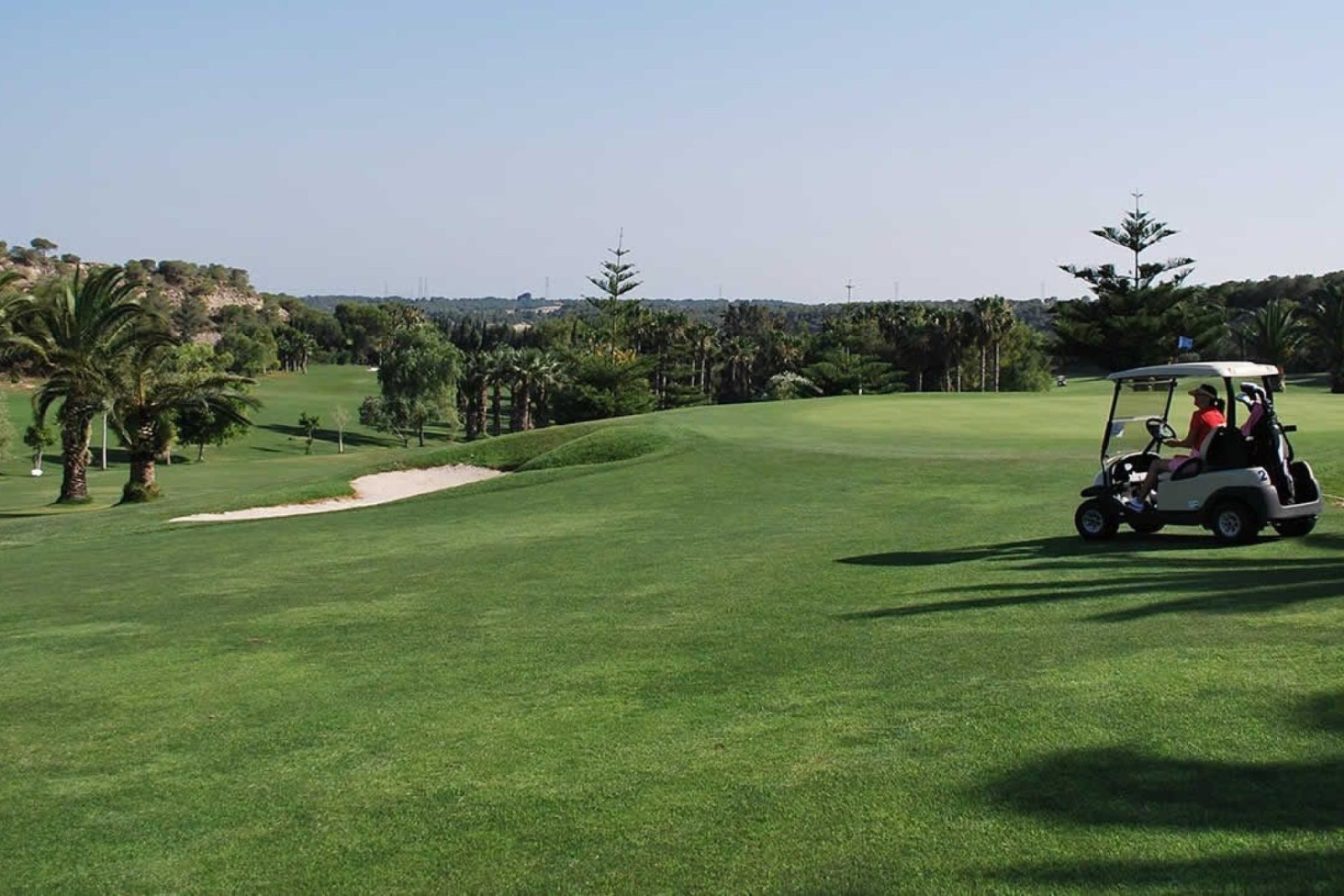 Sale - Detached Villa -
Los Dolses - Inland