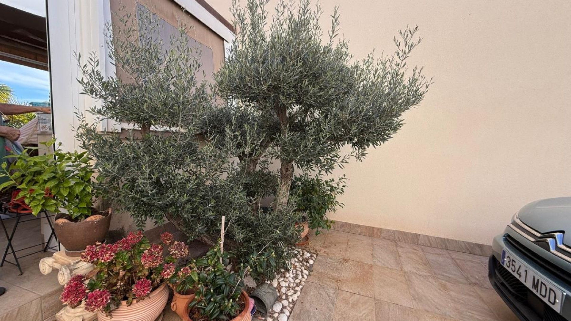 Sale - Detached Villa -
Los Montesinos