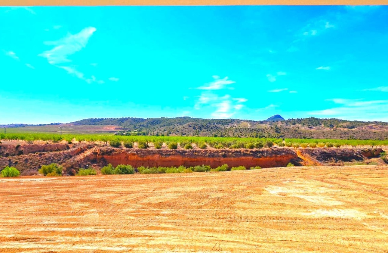 Sale - Detached Villa -
Macisvenda - Inland