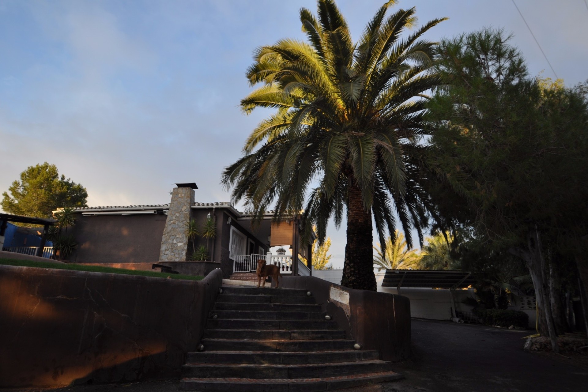 Sale - Detached Villa -
Monóvar - Inland