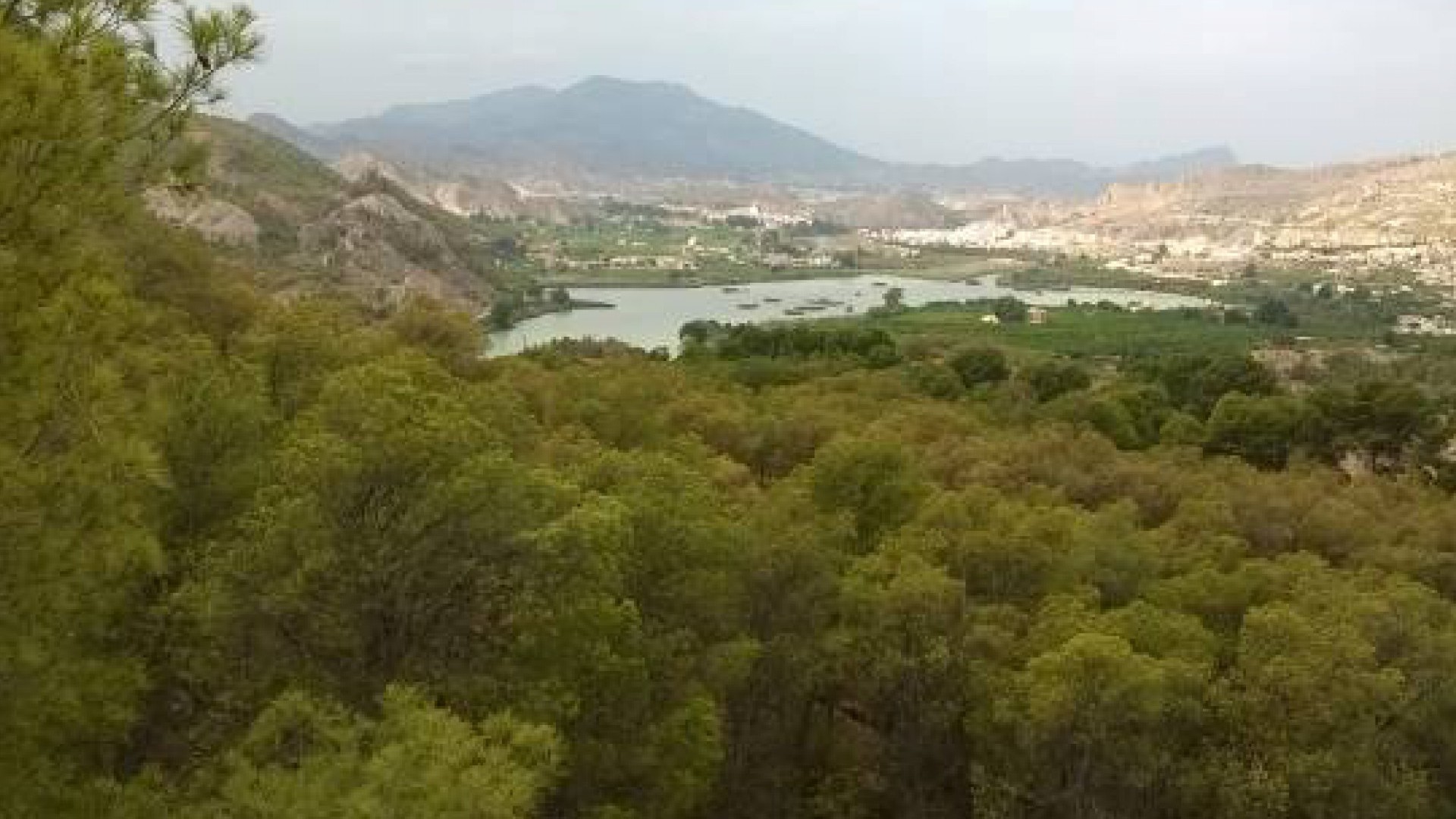 Sale - Detached Villa -
Murcia