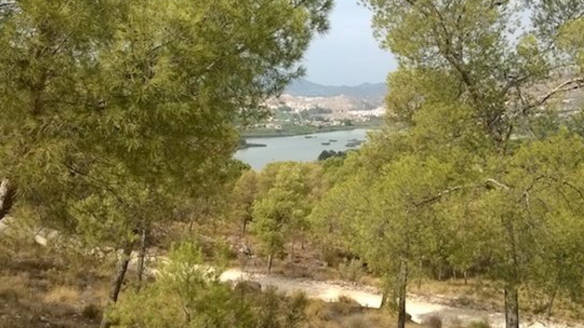 Sale - Detached Villa -
Murcia