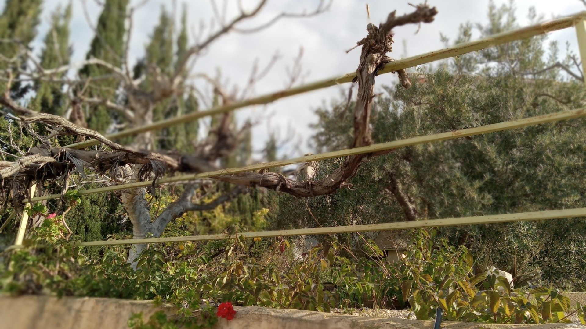 Sale - Detached Villa -
Murcia