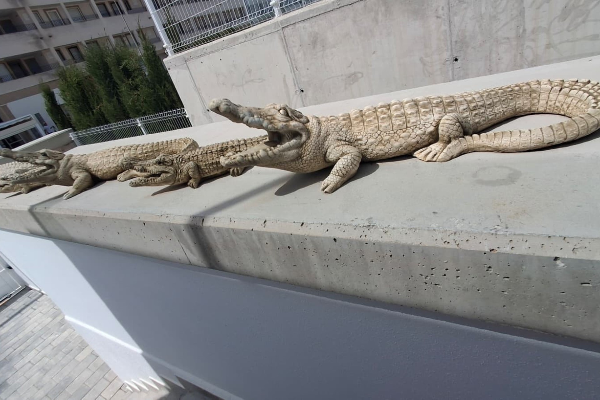 Sale - Detached Villa -
Orihuela - Entre Naranjos Vistabella Golf