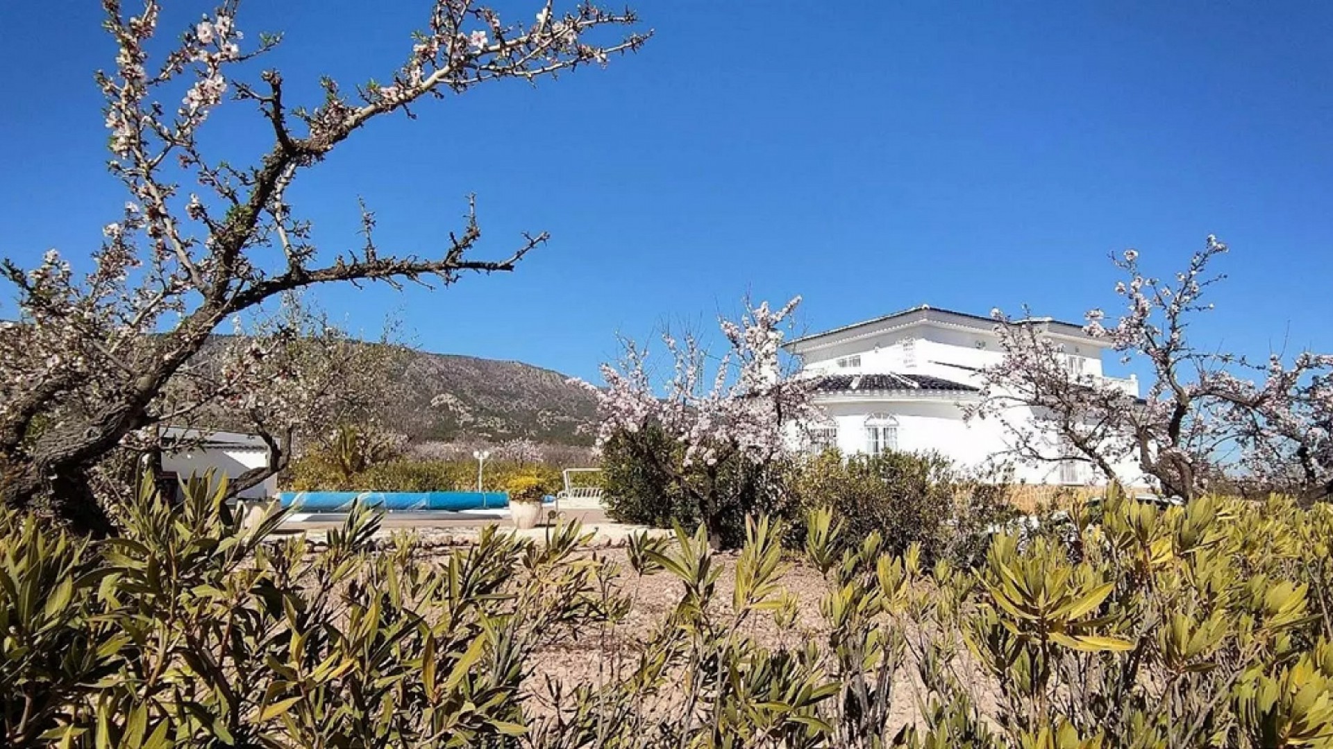 Sale - Detached Villa -
Pinoso