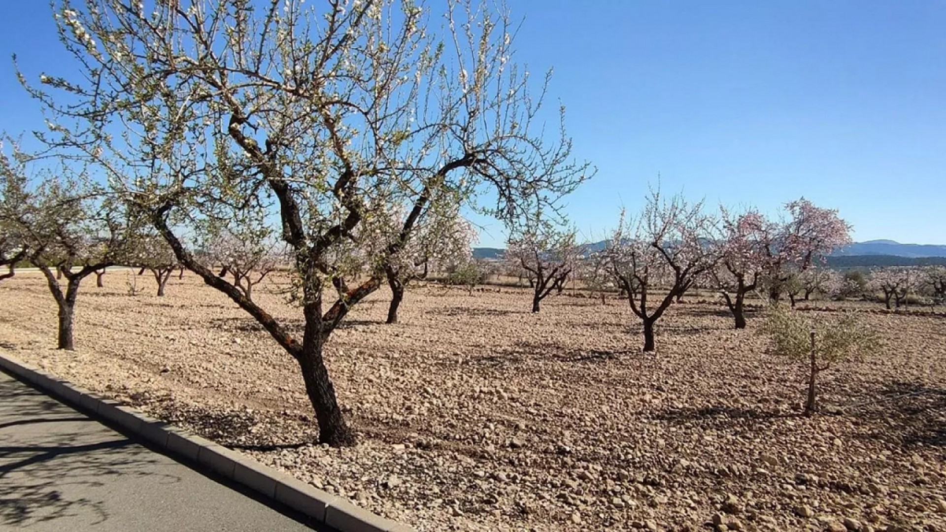 Sale - Detached Villa -
Pinoso