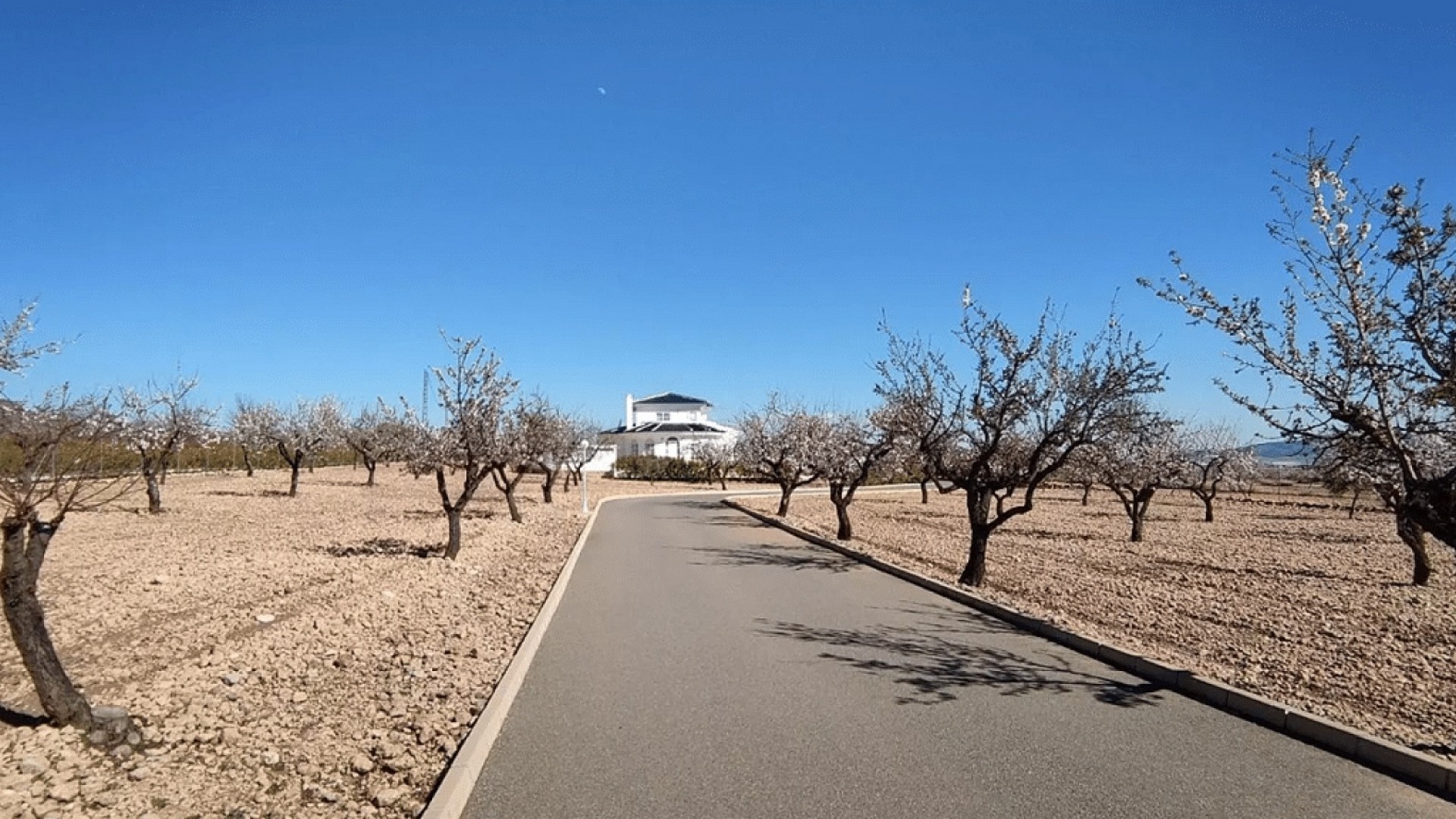 Sale - Detached Villa -
Pinoso