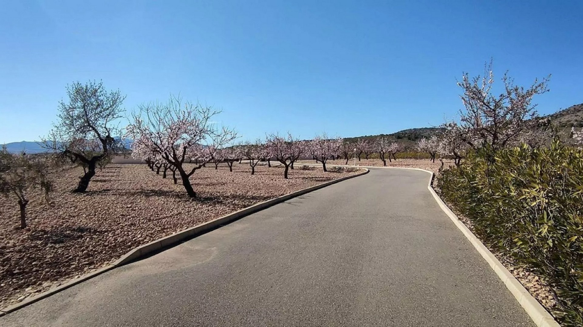 Sale - Detached Villa -
Pinoso