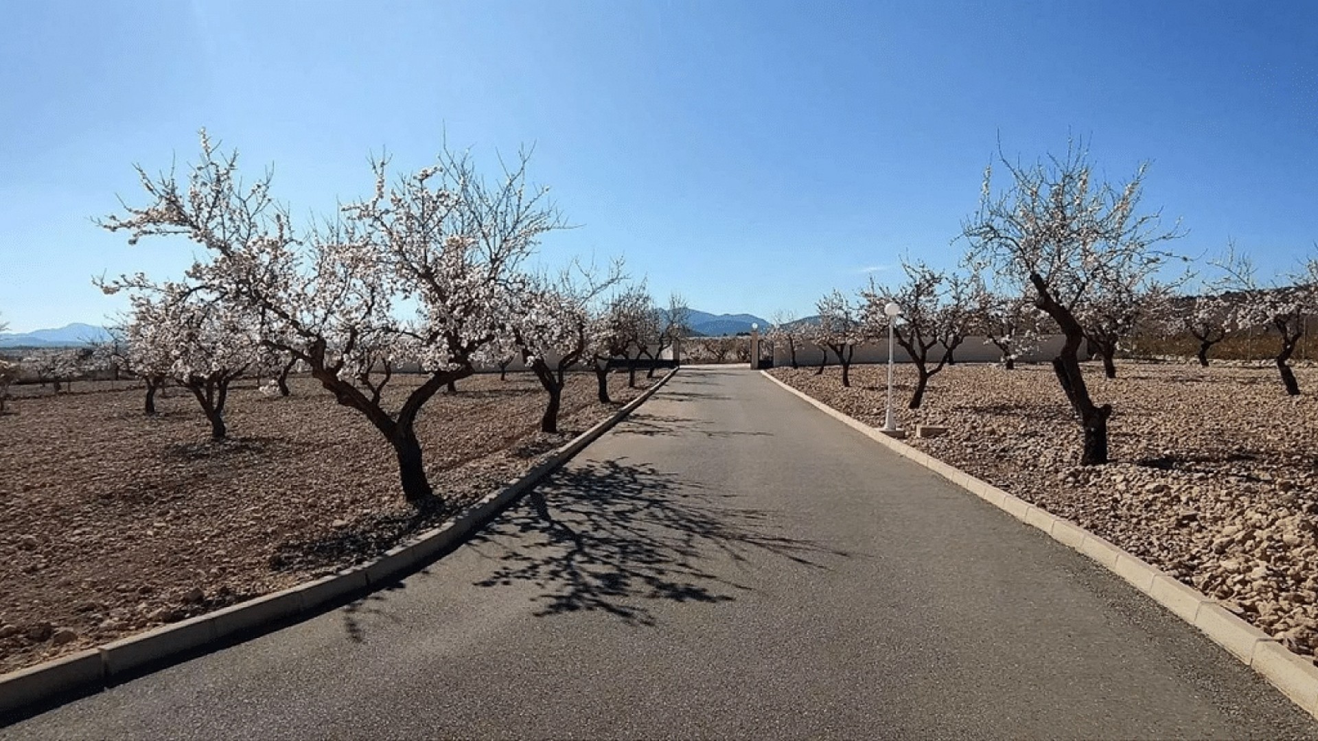 Sale - Detached Villa -
Pinoso