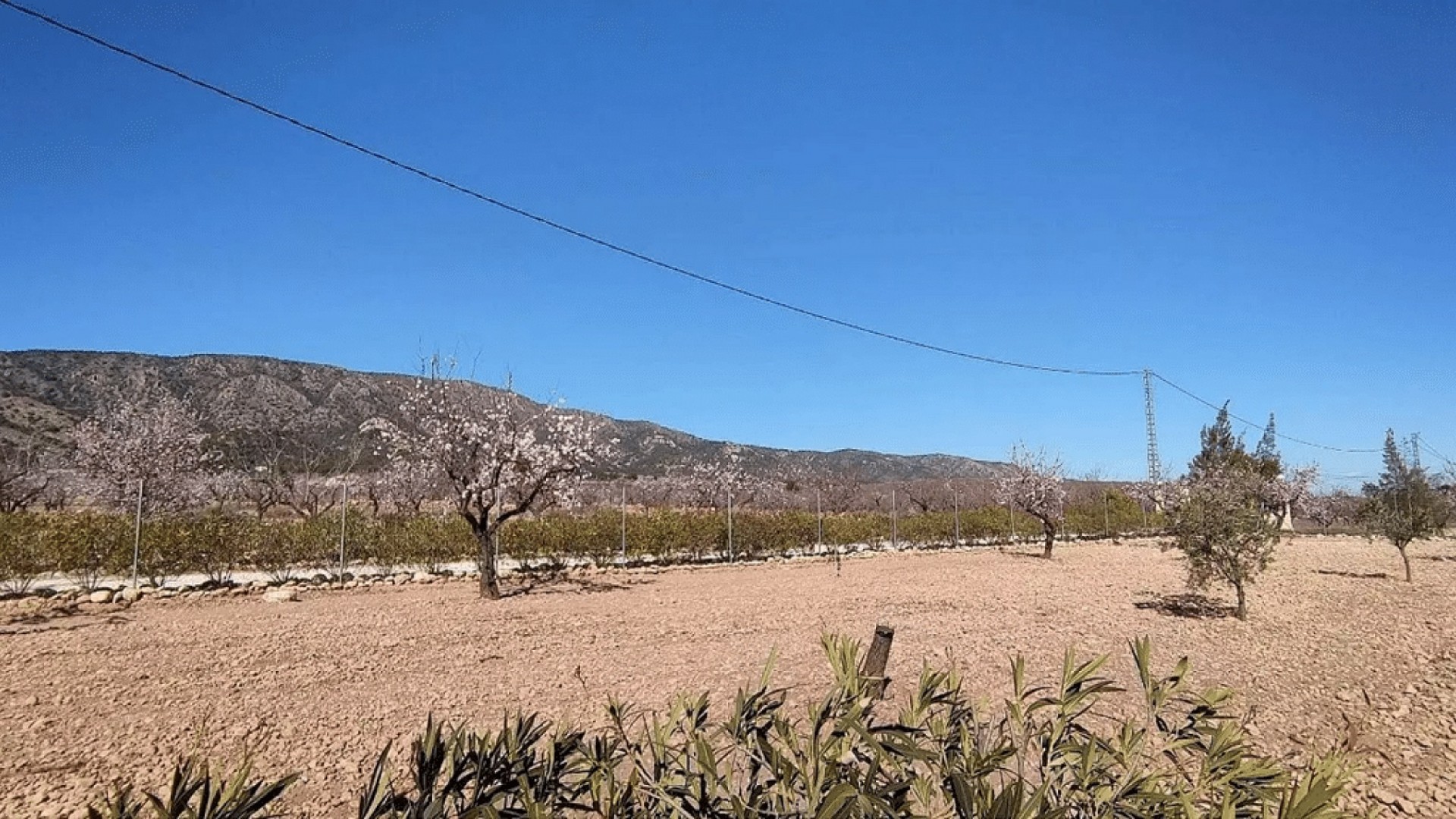 Sale - Detached Villa -
Pinoso