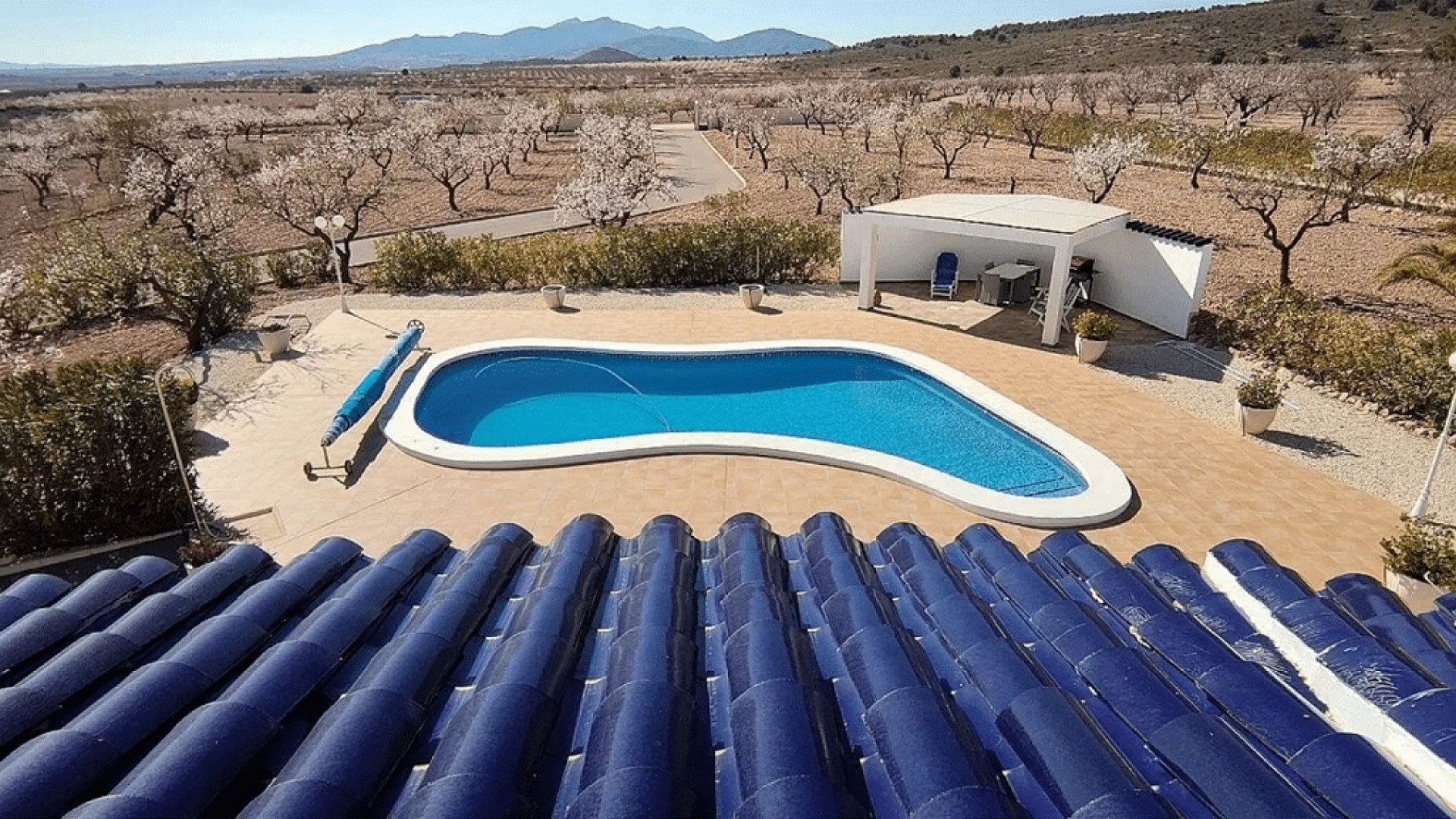 Sale - Detached Villa -
Pinoso