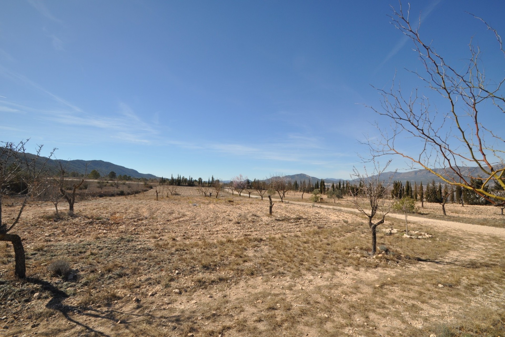 Sale - Detached Villa -
Salinas - Inland