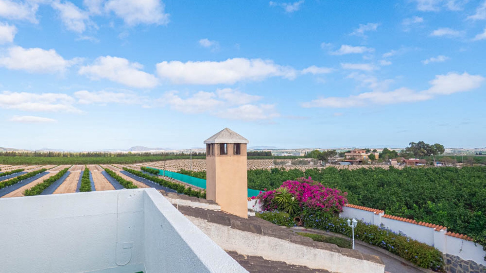 Sale - Detached Villa -
San Miguel de Salinas