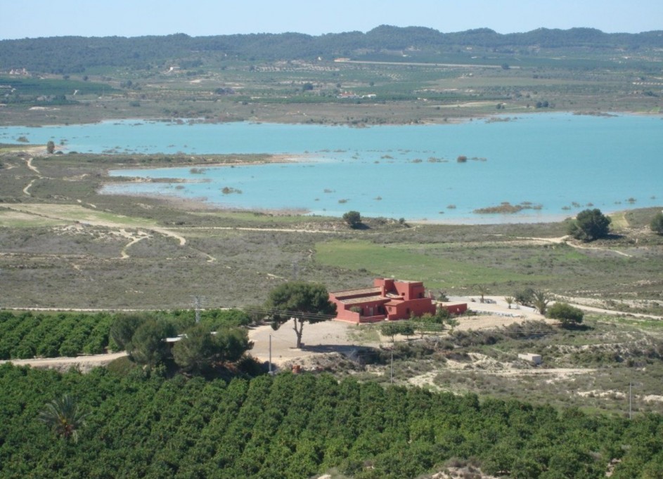 Sale - Detached Villa -
Torremendo