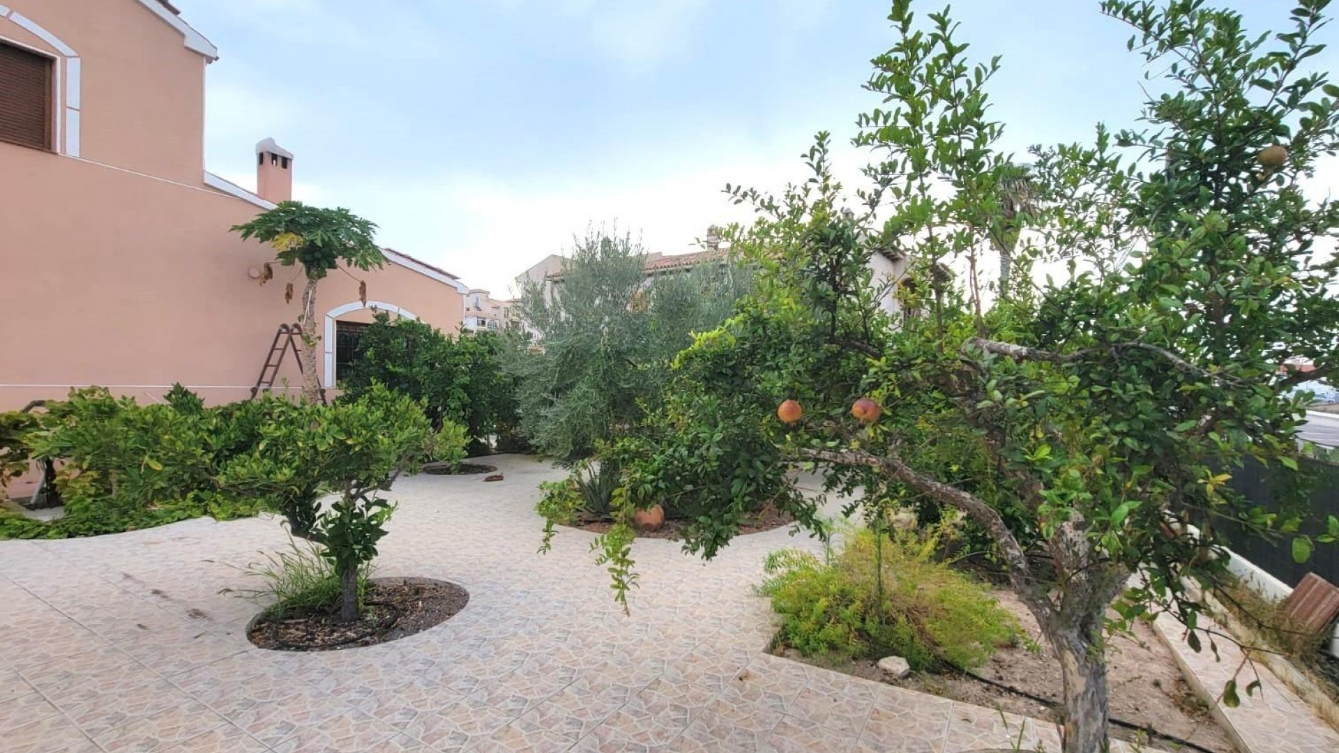 Sale - Detached Villa -
Torrevieja - Aguas Nuevas