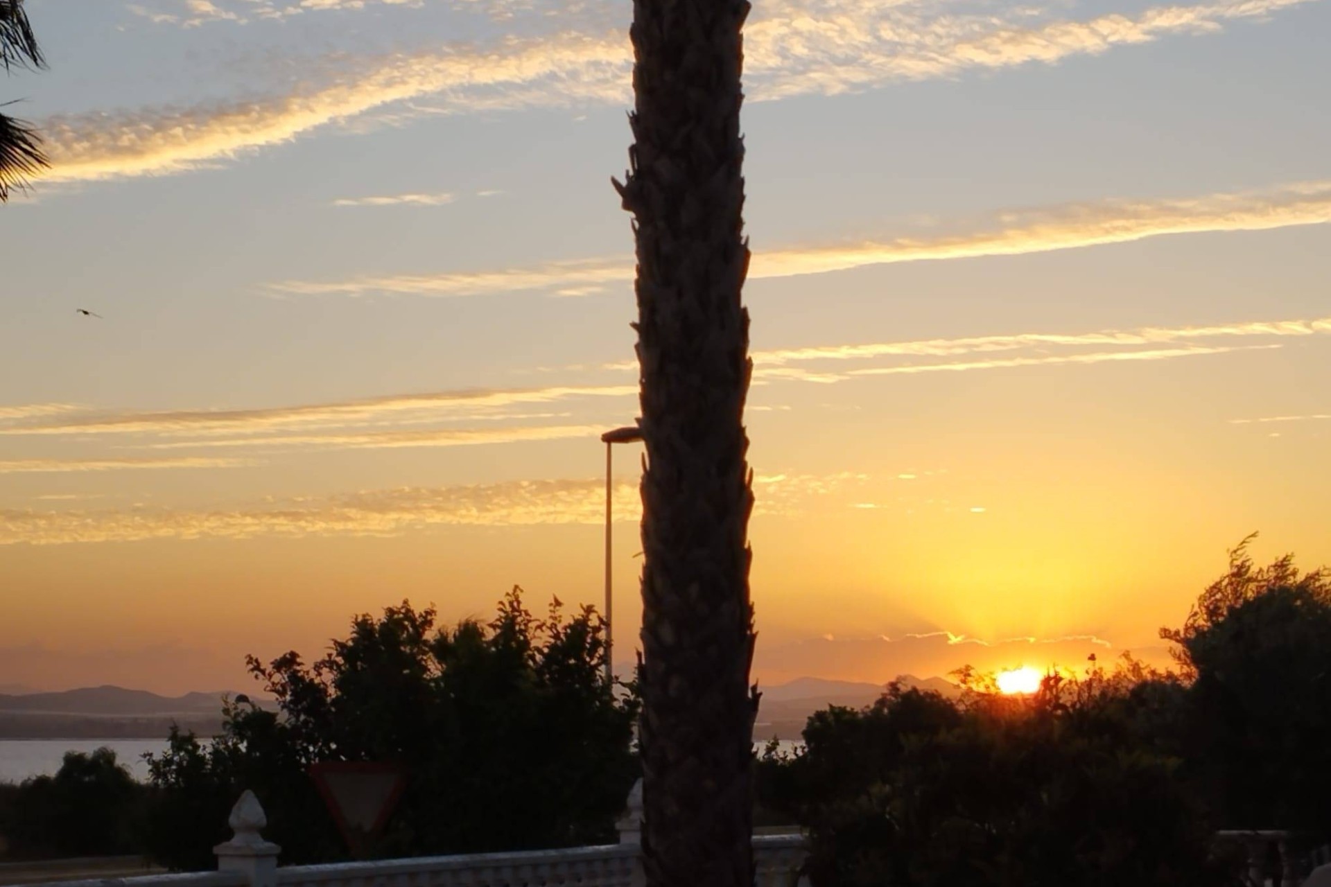 Sale - Detached Villa -
Torrevieja - La Siesta - El Salado - Torreta