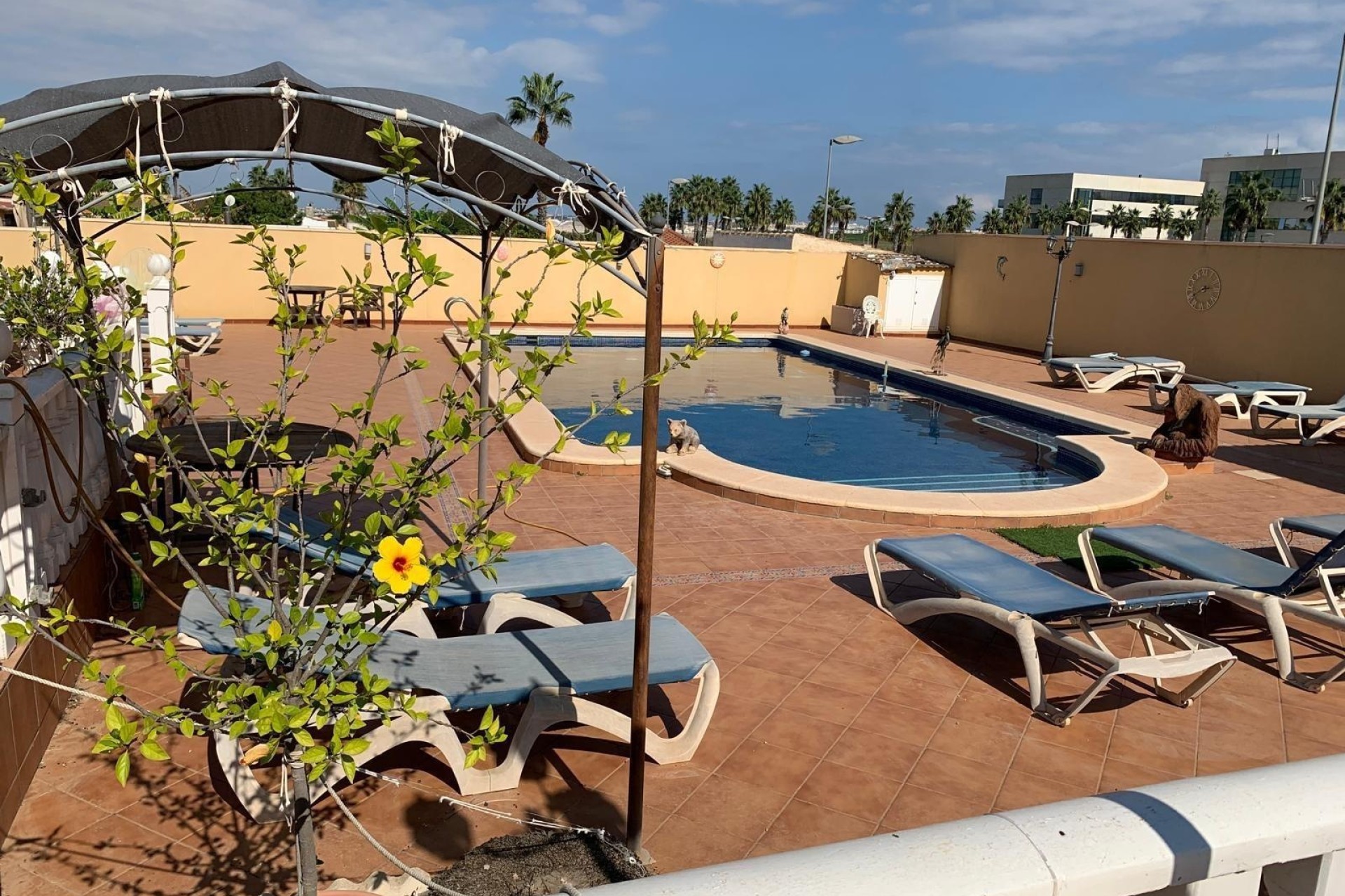 Sale - Detached Villa -
Torrevieja - Los Balcones