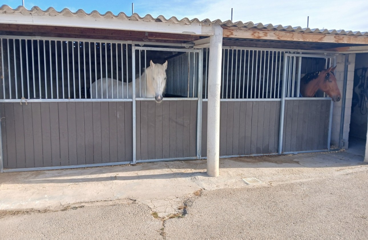 Sale - Equestrian property -
Monóvar