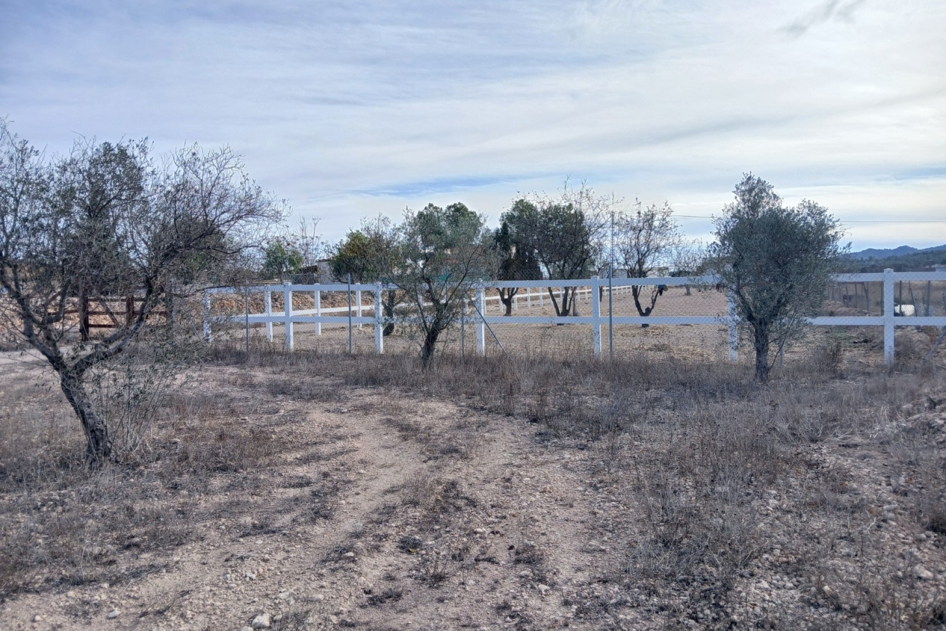 Sale - Equestrian property -
Monóvar