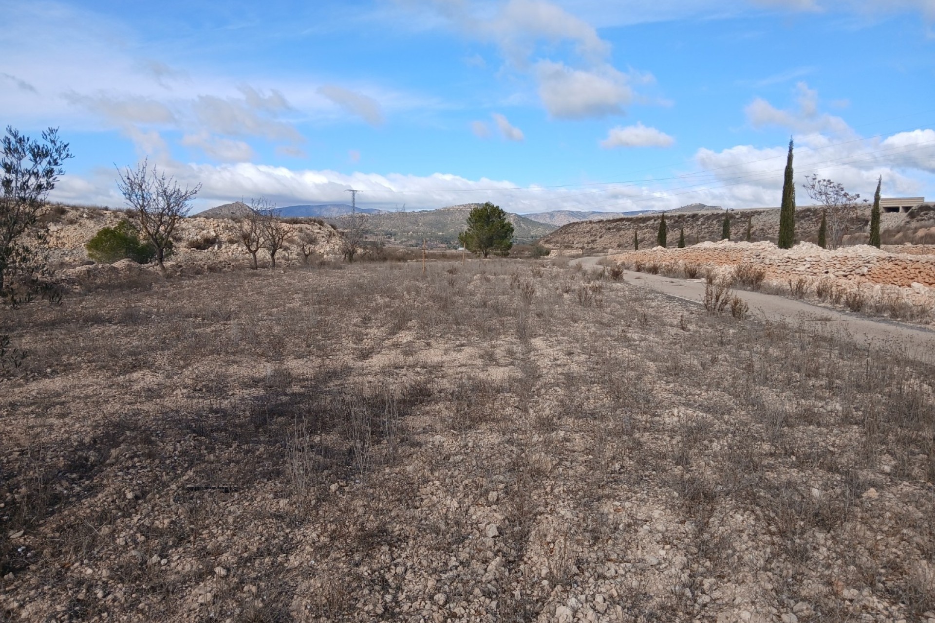 Sale - Equestrian property -
Monóvar