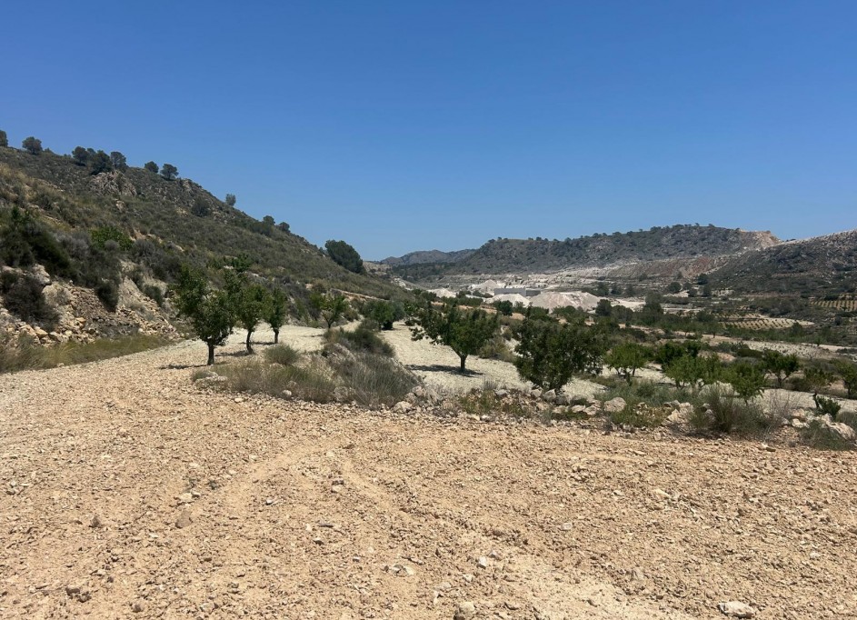 Sale - Finca Country Property -
Abanilla - ABANILLA