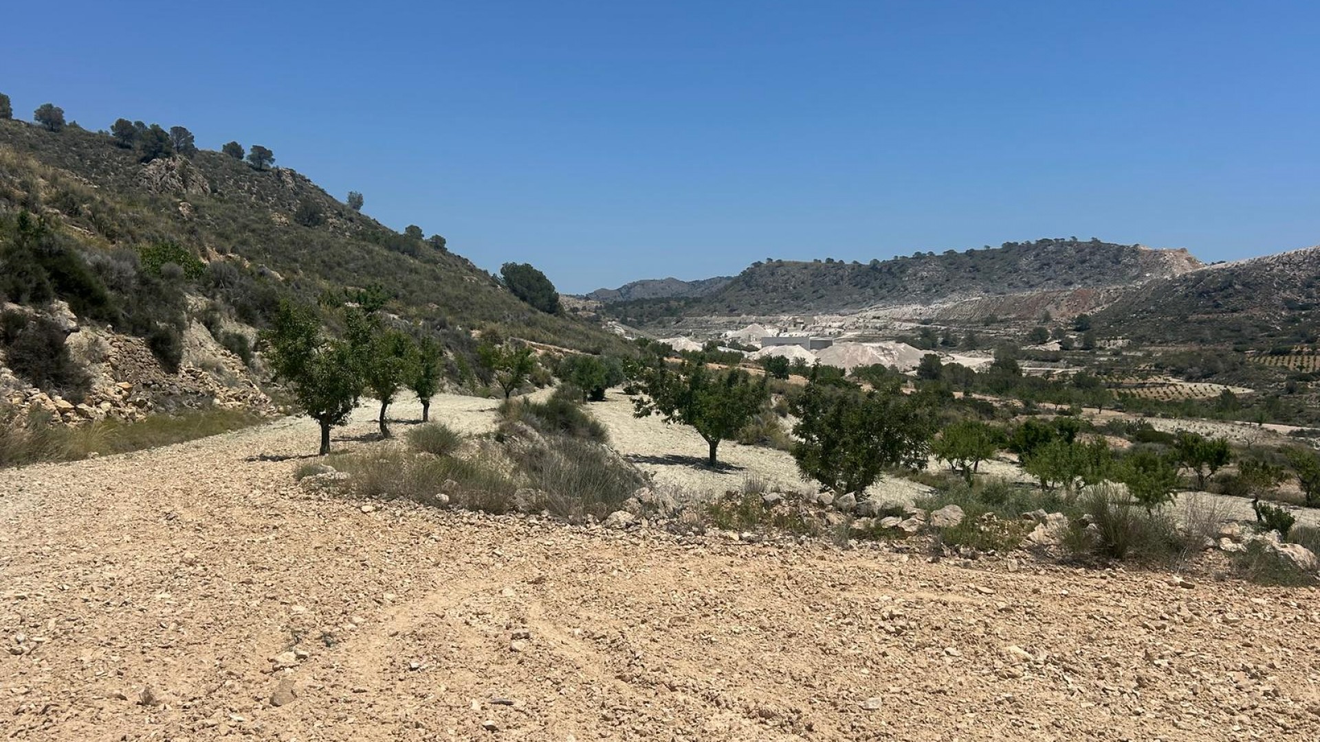 Sale - Finca Country Property -
Abanilla - ABANILLA