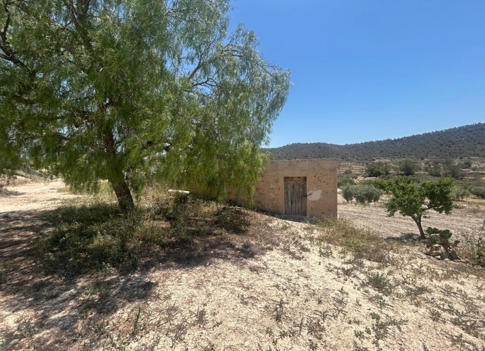 Sale - Finca Country Property -
Abanilla - ABANILLA