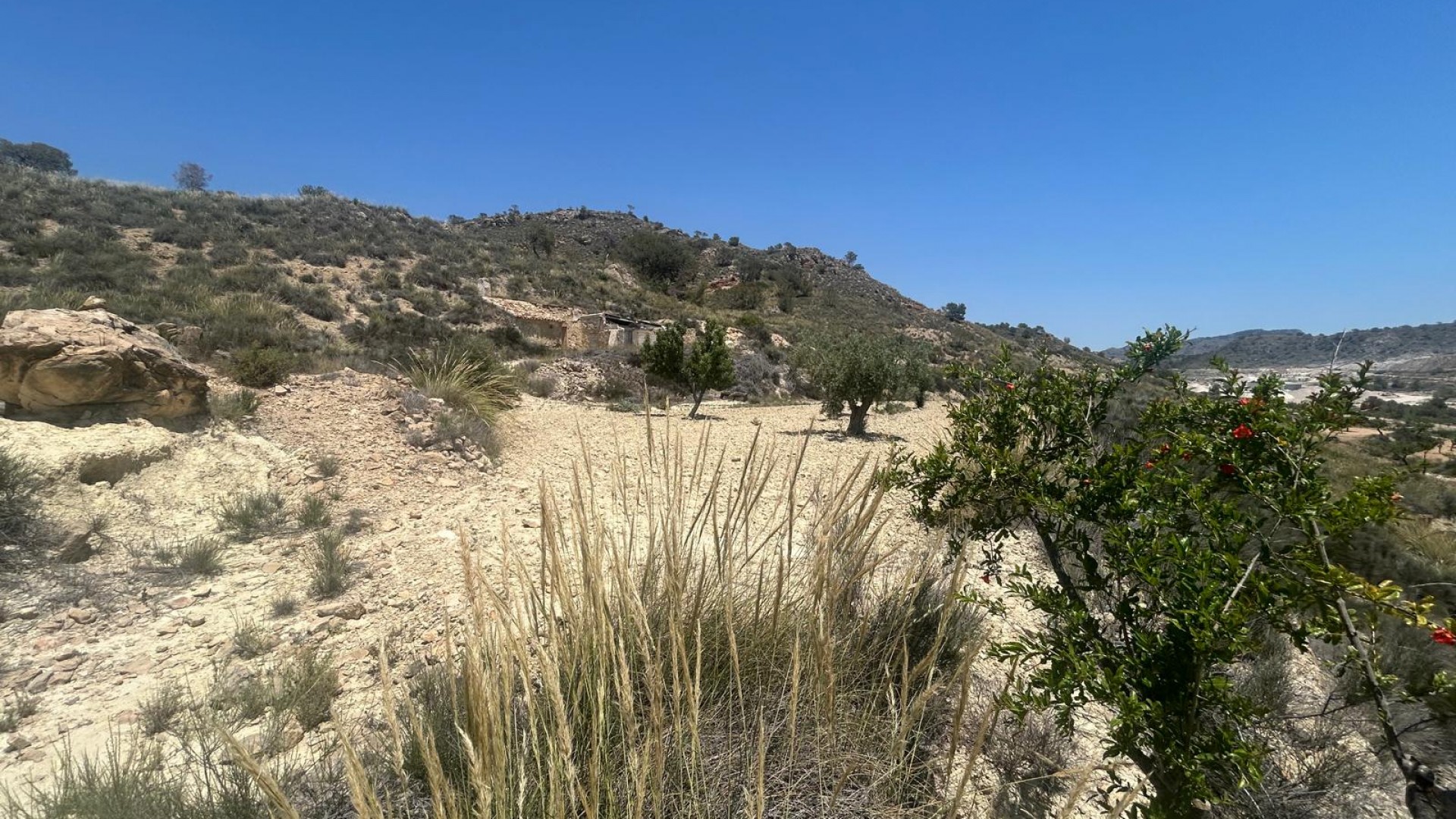 Sale - Finca Country Property -
Abanilla - ABANILLA