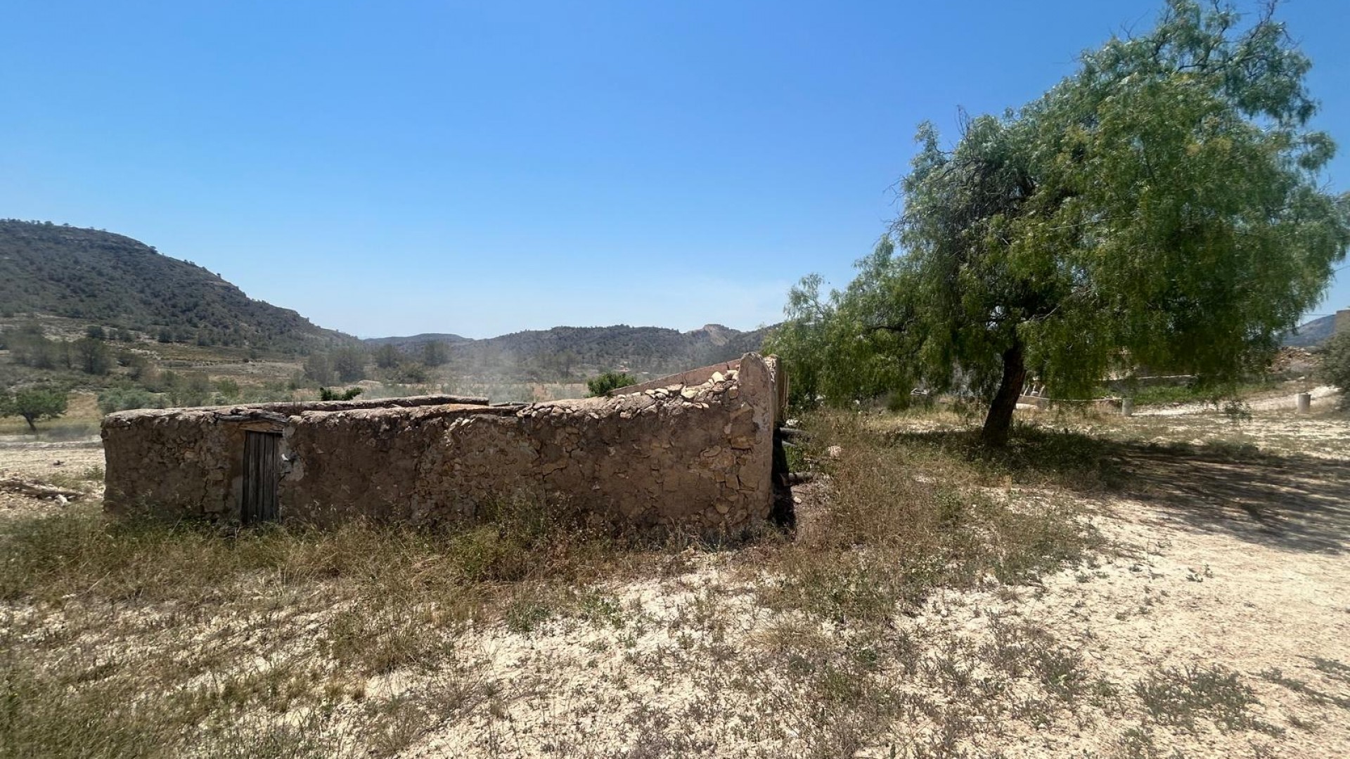 Sale - Finca Country Property -
Abanilla - ABANILLA
