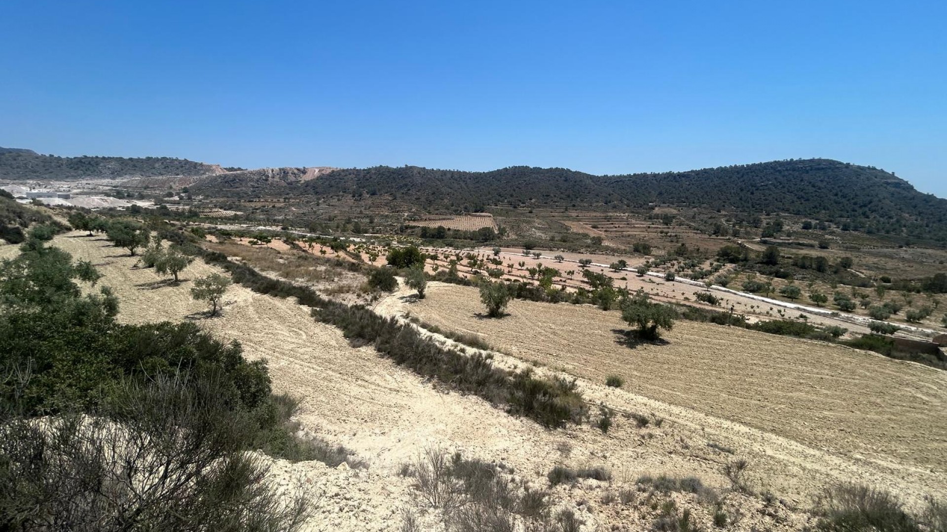 Sale - Finca Country Property -
Abanilla - ABANILLA